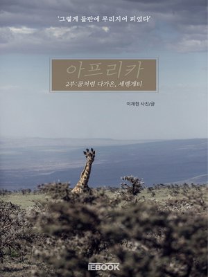 cover image of 아프리카